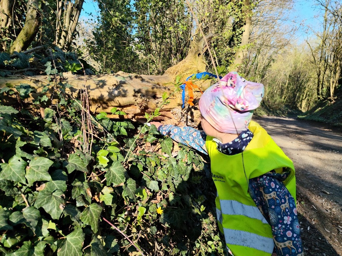 Dítě plní venkovní úkol u stromu během Kouzelné noci.